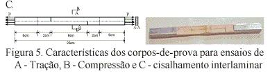 A Figura 6 mostra a variação do comprimento internodal (l) do colmo inteiro em relação ao número dos internós (n) do bambu Guadua angustifolia, com a