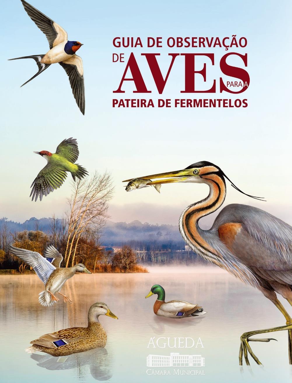 PATEIRA DE FERMENTELOS FORTE PRESENÇA DE AVIFAUNA Nesta área classificada, a avifauna assume uma