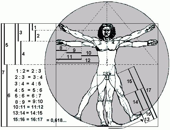 2.2.2. Emprego da proporção áurea no corpo humano No Renascimento, os ensinamentos de Da Vinci passam a ganhar grande importância.