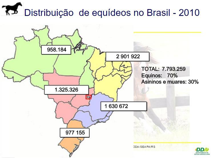 21 Figura 8 - Distribuição de equídeos por região no Brasil FONTE: