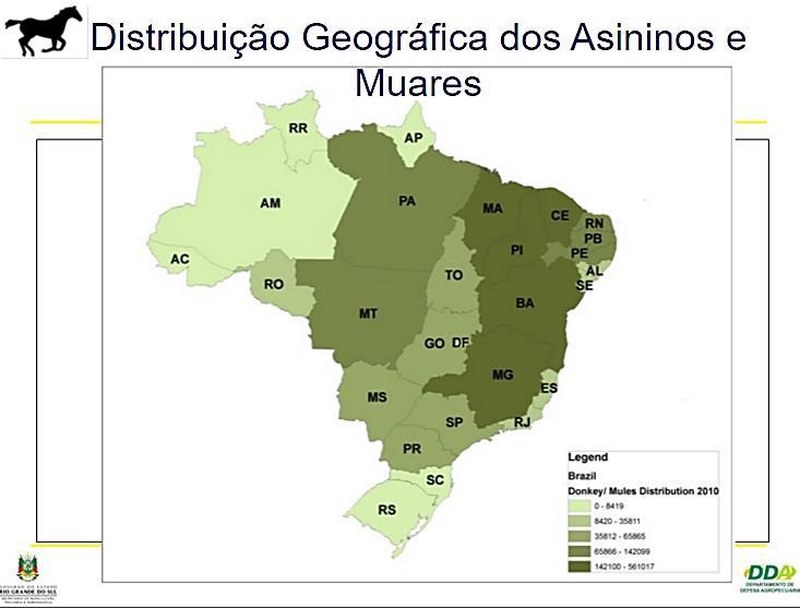 22 Figura 10 - Representação gráfica da distribuição de asininos e muares por Estado no Brasil FONTE: Programa Nacional de Sanidade de Equídeos - DGA/DDA/SEAPA/RS (2011) 4.