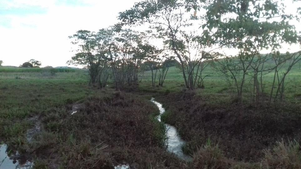 IMPLANTAÇÃO DA ÁREA DE PRESERVAÇÃO PERMANENTE Art.