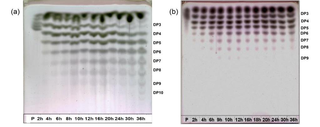 Figura 1 - Cromatografia em camada delgada dos IMOs formados no ensaio 1(a) e no ensaio 2 (b).