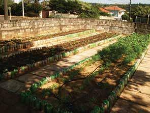 ONDE INSTALAR sua horta A ESCOLHA DO LOCAL