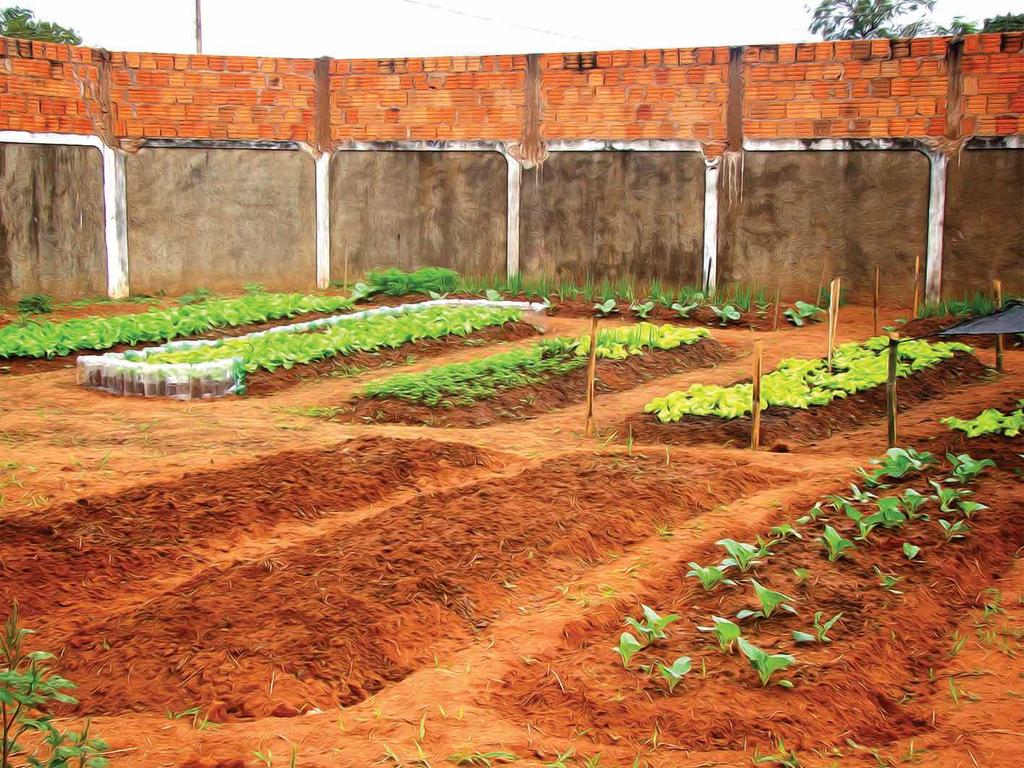 PREPARE O TERRENO Forme canteiros com 15 a 20cm de altura, com cerca de 1 metro de largura (o comprimento vai variar de acordo com o tamanho do terreno) e deixe um corredor entre os canteiros de 40 a