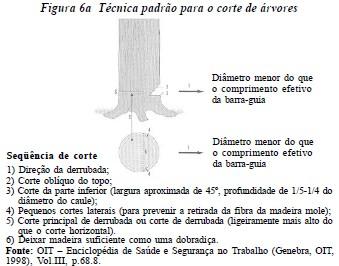 TÉCNICA PARA O