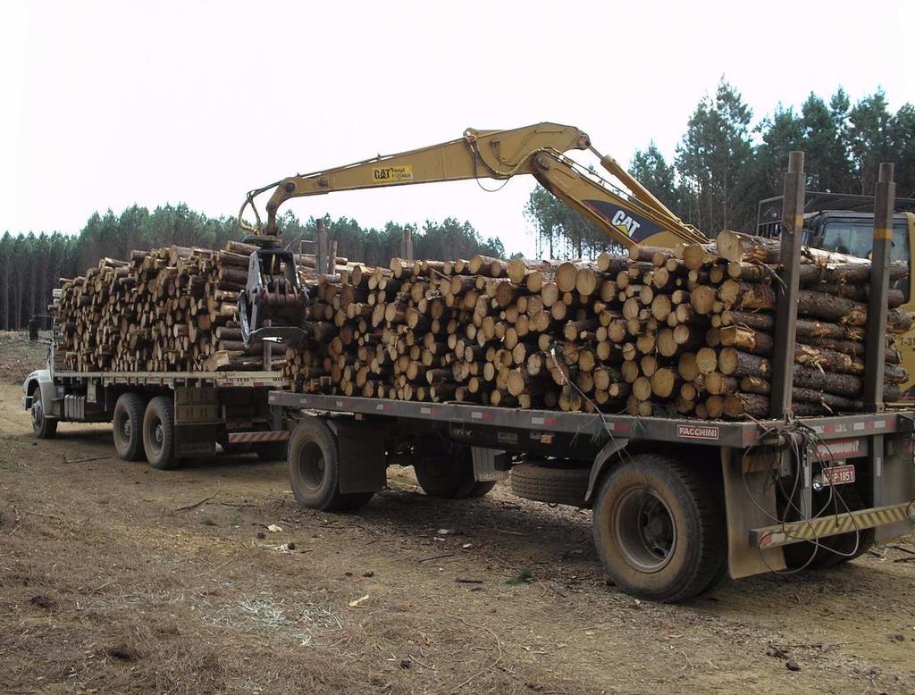 Transporte Rodoviário Florestal Veículo