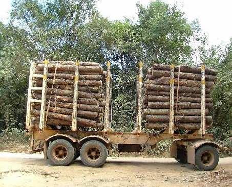 Transporte Rodoviário Florestal Reboque É um veículo de