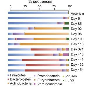 Microbioma Humano: Implicações Biomédicas Figura 4 Análise metagenómica do material genético encontrado no mecónio e fezes desde o momento do nascimento até ao dia 454 de vida de um bebé.