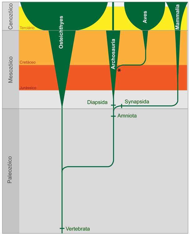 baixa. A partir daí, houve um aumento gradativo no número de espécies de animais, plantas e microrganismos, tanto nos ambientes marinhos como nos terrestres, culminando na enorme biodiversidade atual.