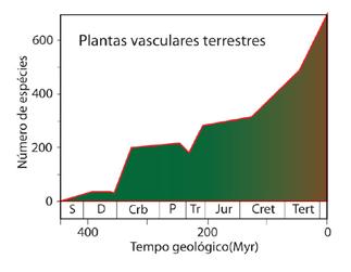 3 Biodiversidade E com as plantas, o que aconteceu? A diversidade de plantas também variou intensamente durante os últimos 500 milhões de anos.