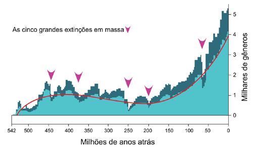 Semana 2 Como a Biodiversidade é gerada? (Material Complementar) 4 planeta, especialmente devido às extinções em massa, ocorridas em períodos relativamente curtos de tempo.