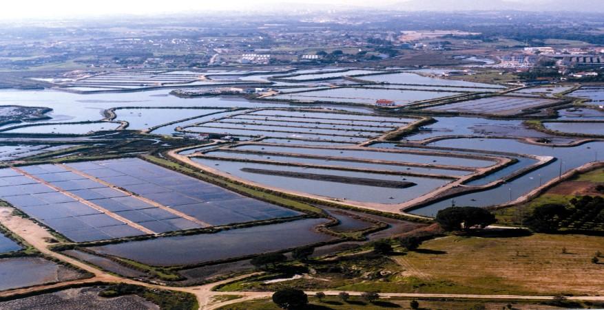 Aquicultura na Península