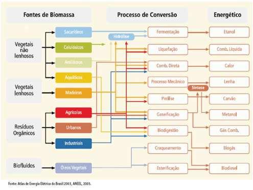 Ranking Mundial - Potencial de