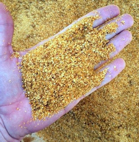 nos estados de Mato Grosso, Mato Grosso do Sul, Goiás e até em Minas Gerais. O DDG de milho apresenta, em média, teor de matéria seca em torno de 89%.