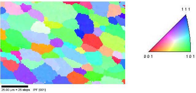 retroespalhados (EBSD) em conjunto com mapas de orientação obtidas por microscopia por imagem de orientação (OIM) apresenta dados qualitativos sobre a microestrutura do material (SILVA et al, 2006b).