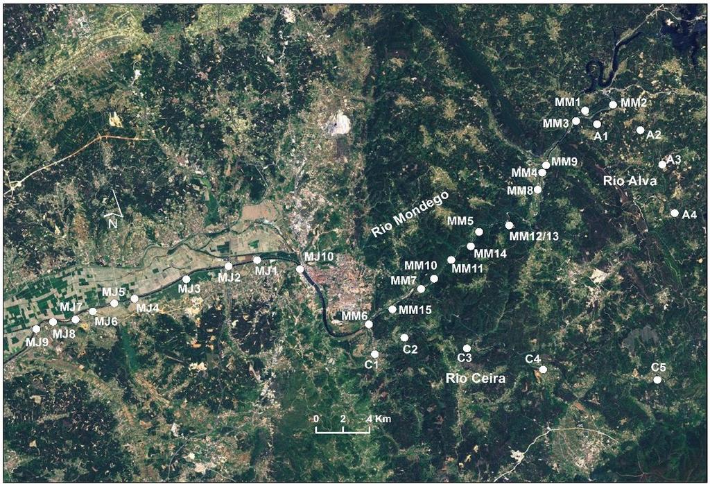 do Baixo Mondego entre Coimbra e a Formoselha. Figura 2.1. Localização da área de estudo com as 33 estações de amostragem realizadas. A barra branca representa a localização do Açude-Ponte de Coimbra.