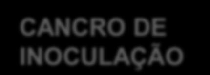 Patogenia Transmissão aérea Alvéolo pulmonar Fagocitose por Macrófagos DESTRUIÇÃO TECIDUAL Multiplicação