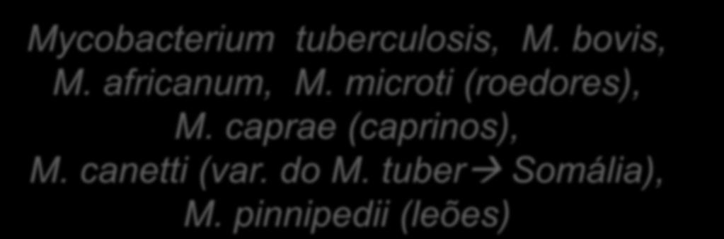 Mycobacterium tuberculosis, M. bovis, M. africanum, M. microti (roedores), M. caprae (caprinos), M. canetti (var.
