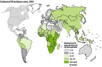 Tuberculose Infecção 90 a 95% dos infectados Tuberculose Doença 5 a 10% dos infectados (Óbito -