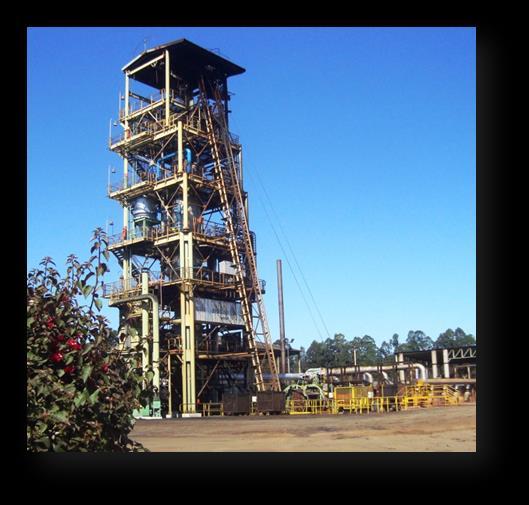 solo, conforme desenvolvimentos e testes realizados na planta piloto em Paraopeba, MG (média anual de 2013 a 2015). Figura 1. Reator de carbonização contínua.