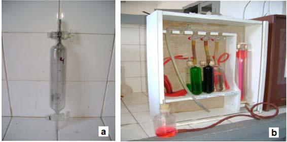 Figura 2. Ampola de vidro para coleta de gás (a) e analisador de gás ORSAT (b).