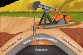 br/segurogarantia-para-o-setor-de-petroleo-e-gasnatural/ http://tnpetroleo.com.