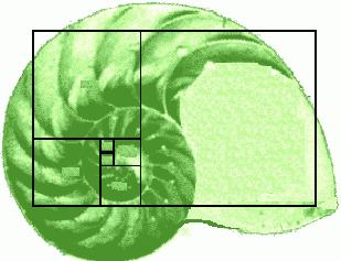 Material necessário: Papel sulfite, régua, lápis, borracha, compasso, xérox dos textos O Retângulo áureo item 2.4 e A sequência de Fibonacci e a espiral, item 3.