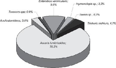 Figura 6 - Total de helmintos, em porcentagem, encontrados no esgoto bruto das