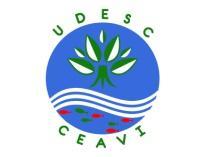 UNIVERSIDADE DO ESTADO DE SANTA CATARINA UDESC CENTRO DE EDUCAÇÃO SUPERIOR DO ALTO VALE DO ITAJAÍ CEAVI DIREÇÃO DE ENSINO DEN DEPARTAMENTO: DCC PLANO DE ENSINO DISCIPLINA: MERCADO DE CAPITAIS SIGLA: