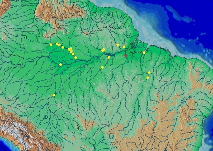 (a), parátipo, NUP 7993, 40,9 mm CP, bacia do rio Tocantins (imagem invertida) e Moenkhausia lata (b), MZUSP 93187, 51,9 mm CP, bacia do rio Tapajós.