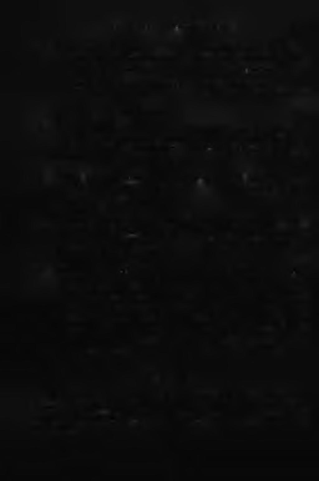4. Clípeo na frente entalhado e fracam ente bidentado; elitros escuros opacos, interestrias com pontos finos, 10 mm. Bahia, Minas Gerais (Fig. 5) 4. S. viridis Er.