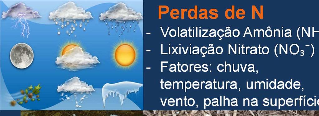 Perdas de N - Volatilização Amônia