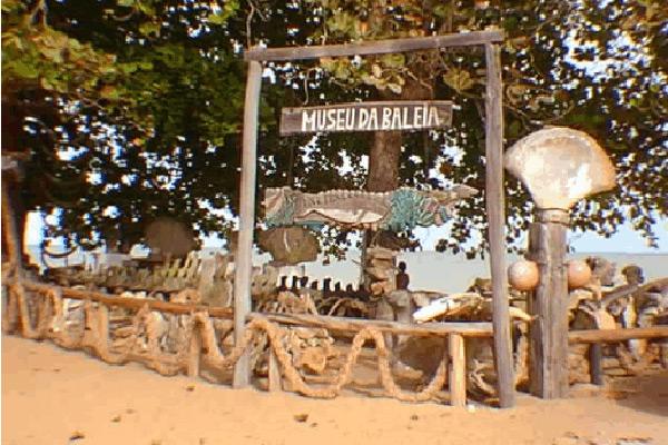 Abrolhos. Caravelas é uma linda cidade tipicamente colonial onde as casinhas em estilo enchem as pequenas ruas de graça e história.