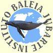 Você poderá visitar o Instituto Baleia Jubarte que fica em Caravelas, os turistas podem aprender um pouco mais sobre estes animais assistindo a vídeos que contam peculiaridades a respeito das baleias