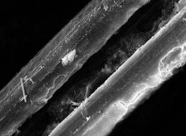 5 traz uma micrografia da fibra de vidro convencional sem