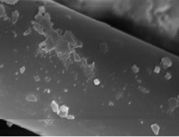 143 6.1.4.2) Micrografias das amostras de fibra de vidro impregnadas