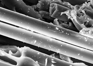 145 6.1.4.4) Micrografias das amostras de fibra de