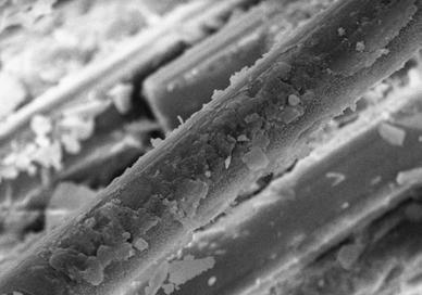 10 - Micrografias das fibras de vidro impregnadas