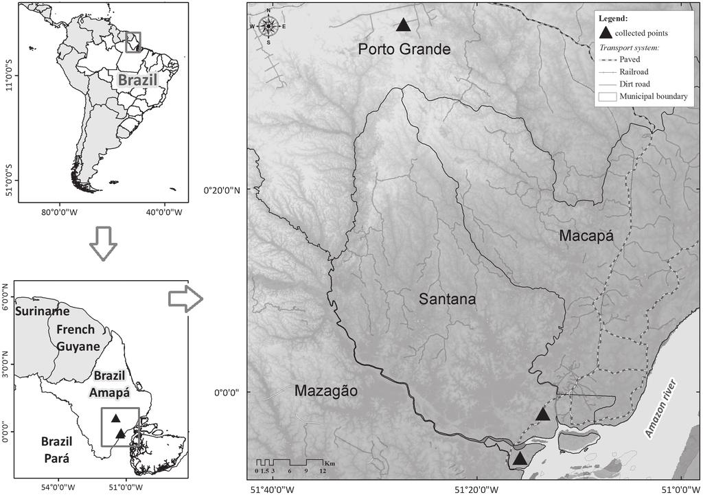 1228 Lonchaeids were first reported in the Brazilian Amazon in the state of Amazonas by Silva (1993), who reported species of Neosilba associated with 19 fruit-bearing species.