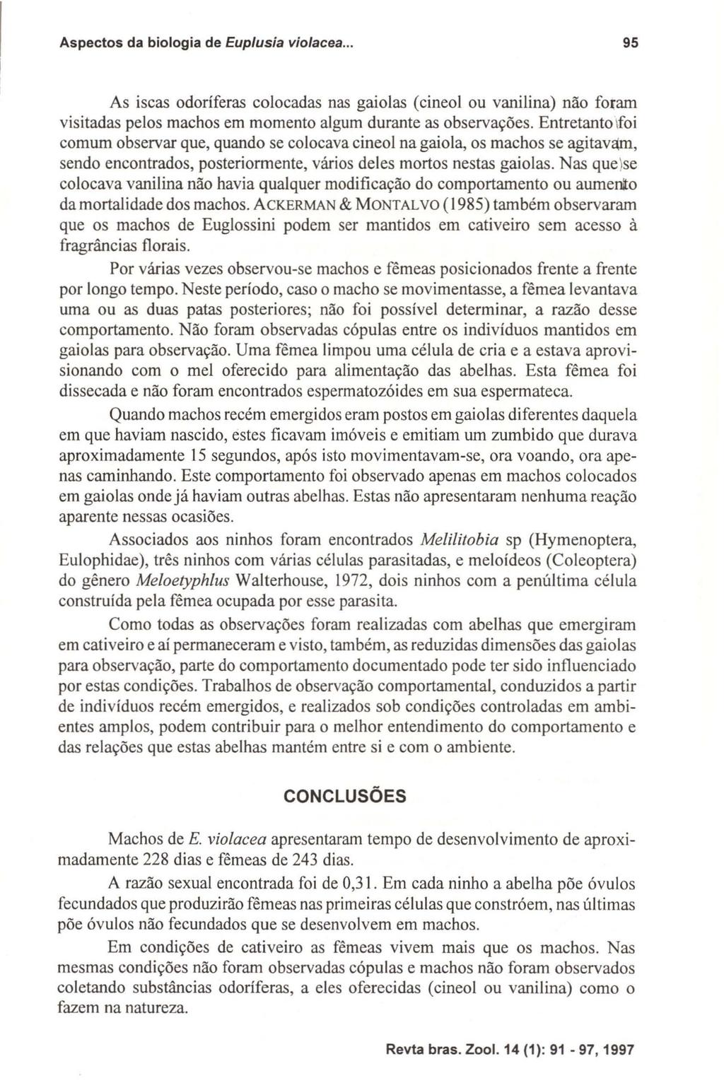 Aspectos da biologia de Euplusia violacea... 95 As iscas odoríferas colocadas nas gaiolas (cineol ou vanilina) não foram visitadas pelos machos em momento algum durante as observações.