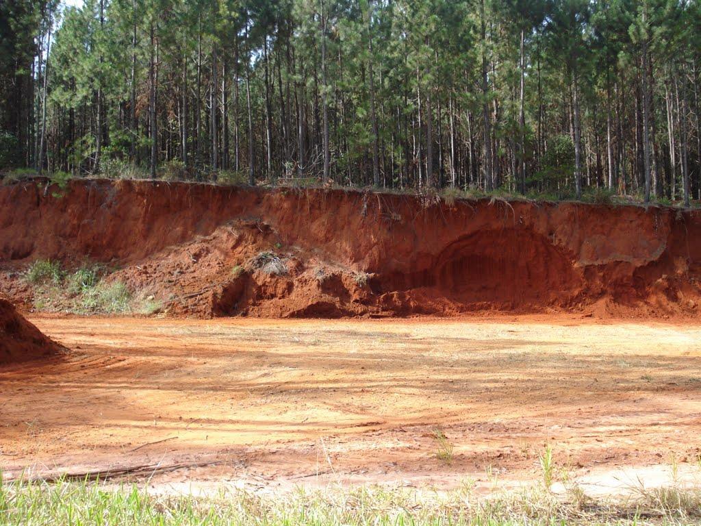 TODO SOLO TEM SUA ORIGEM IMEDIATA OU REMOTA NA