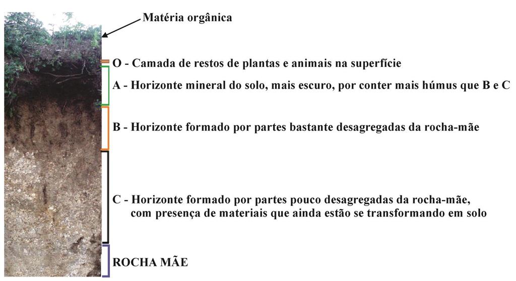 HORIZONTES DO SOLO (SOB A ÓTICA DA