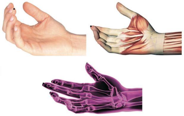 Pontos CS9 - ZHONG-CHONG - "ASSALTO CENTRAL Localização: na ponta do dedo médio; Indicações : coma, febre, insolação, angina pectoris, inabilidade para
