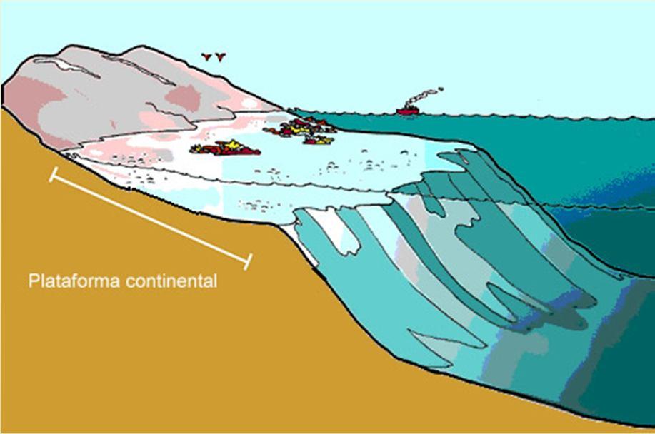 A origem do petróleo e do gás natural é fóssil como o carvão mineral (recursos não