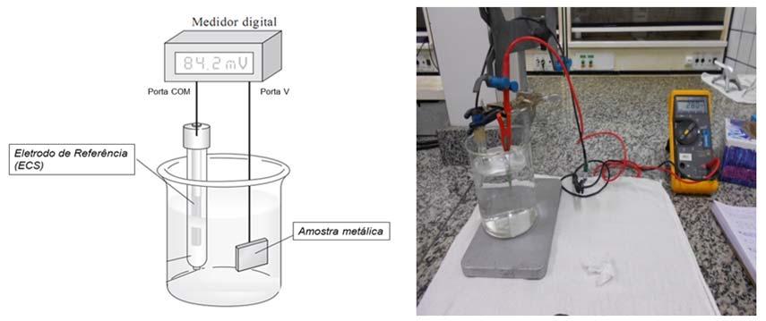 A medição do potencial eletroquímico foi realizada utilizando-se de multímetro e eletrodo de referência de calomelano (ECS).