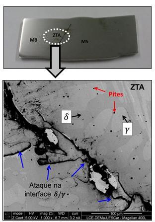 83 O ataque ao longo da interface δ/γ na ZTA, Figura 5.30, da junta sem tratamento térmico foi avaliado por meio de MEV/EDX. Figura 5.30 Imagens de MEV da ZTA após imersão em FeCl 3 por 24 h a 50 C.