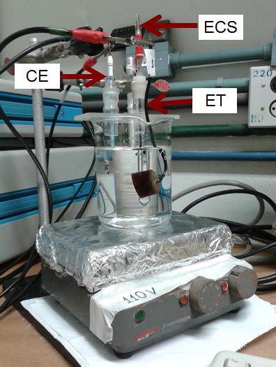 36 4.5 Ensaios de corrosão Foram realizados ensaios eletroquímicos de polarização potenciodinâmica e de reativação potenciodinâmica de ciclo duplo (DL-EPR); e ensaio de imersão.