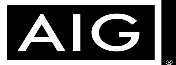 www.aig.com.br O conteúdo deste material é exclusividade da AIG Seguros. Todos os direitos reservados. Copyright 2013. A marca AIG é referência mundial em seguros.