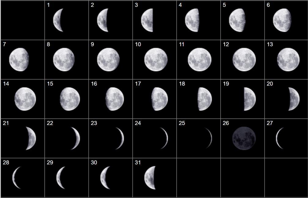 Questão 5) (1 ponto) (0,25 cada acerto) Como você sabe, a cada dia a Lua tem uma aparência (fase). Abaixo temos 31 imagens sequenciais da Lua como vista do Hemisfério Sul.